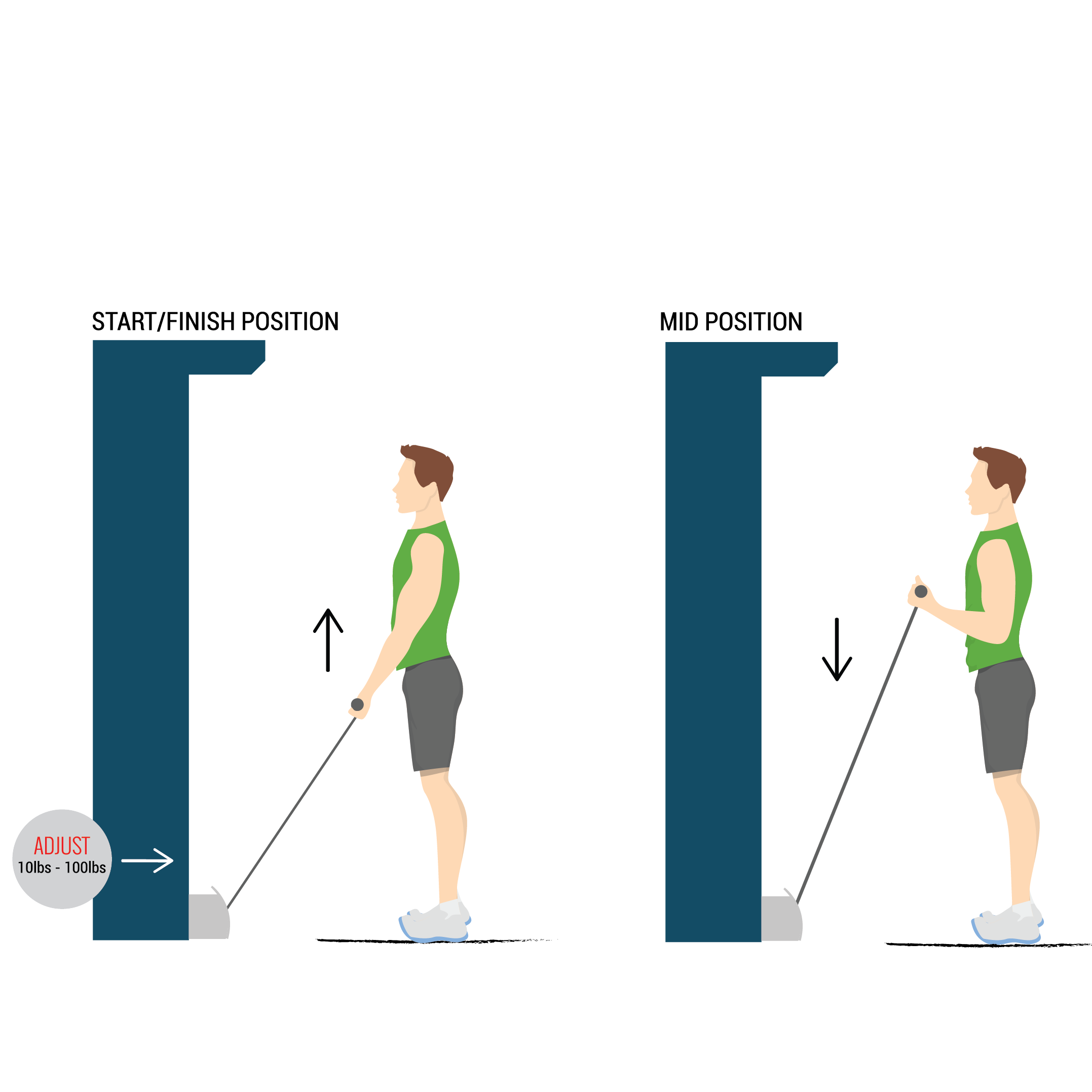 bicep curl illustration