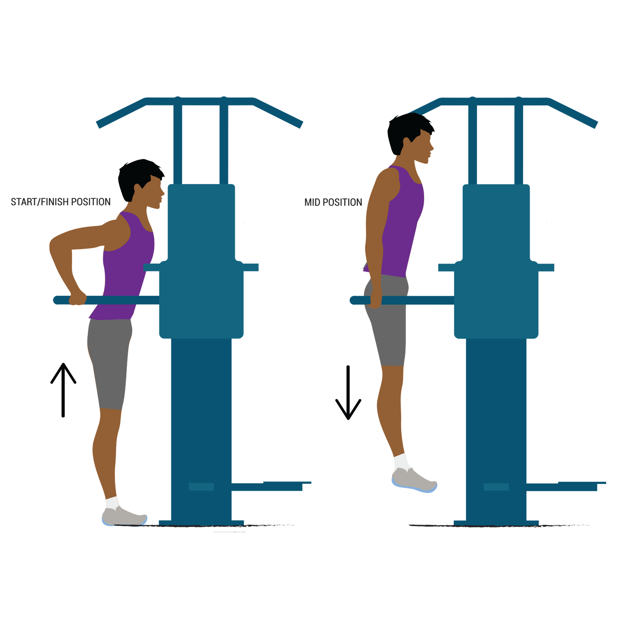dip exercise illustration