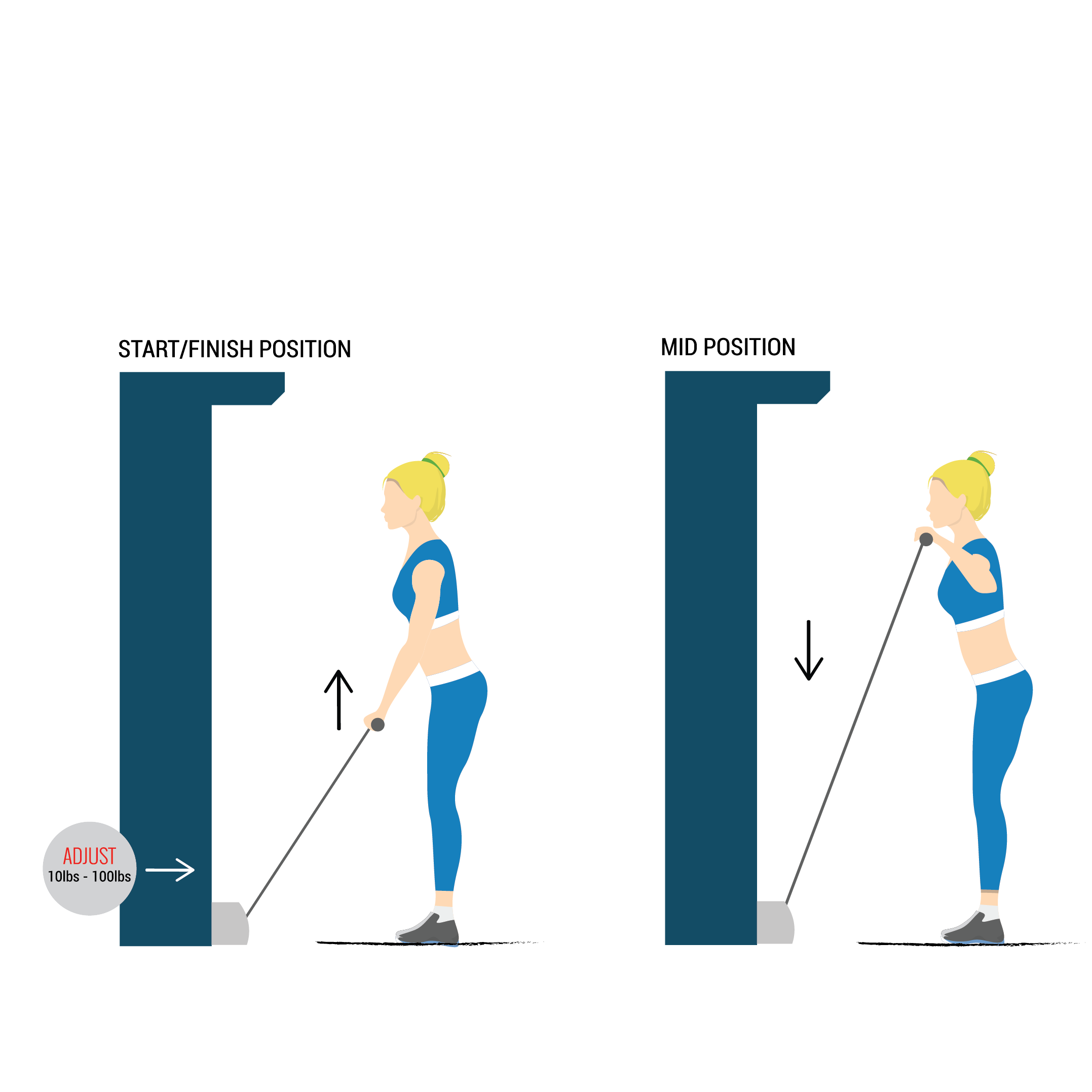 upright shoulder row illustration